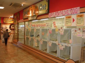 みつまめ倶楽部　緑店